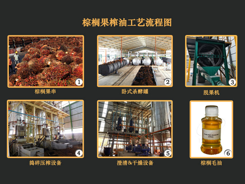 棕榈油生产